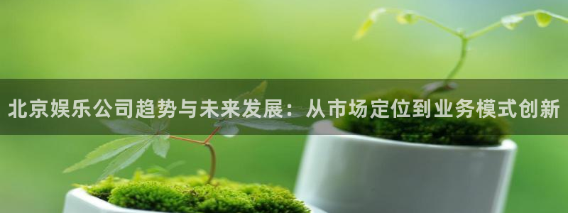 三牛娱乐：北京娱乐公司趋势与未来发展：从市场定位到业务模式创新