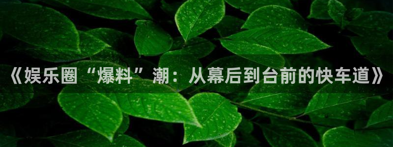 三牛娱乐：《娱乐圈“爆料”潮：从幕后到台前的快车道》