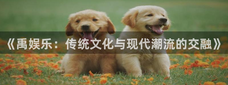 三牛娱乐：《禹娱乐：传统文化与现代潮流的交融》
