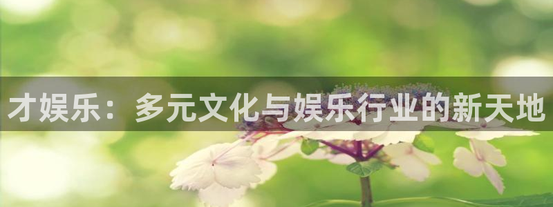 三牛娱乐：才娱乐：多元文化与娱乐行业的新天地
