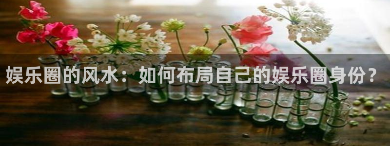 三牛娱乐：娱乐圈的风水：如何布局自己的娱乐圈身份？