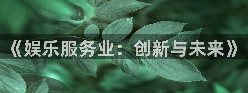 三牛娱乐：《娱乐服务业：创新与未来》