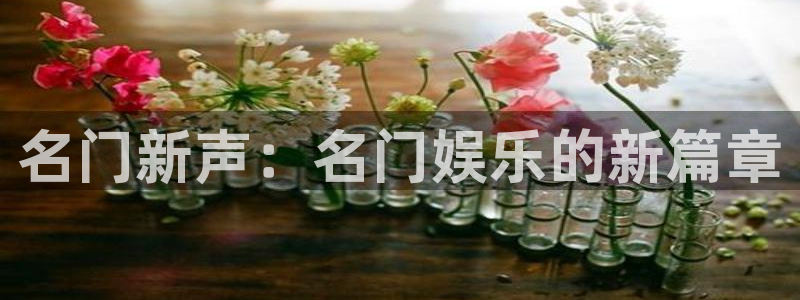 三牛娱乐：名门新声：名门娱乐的新篇章