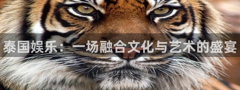 三牛娱乐：泰国娱乐：一场融合文化与艺术的盛宴